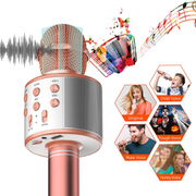Microfono Karaoke Bluetooth Efectos De Voz Ws858